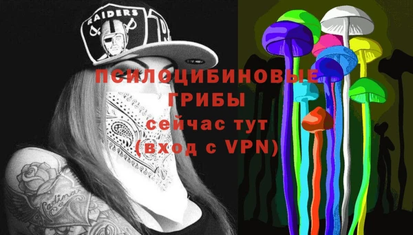 стафф Зеленокумск