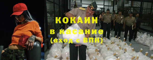 стафф Зеленокумск