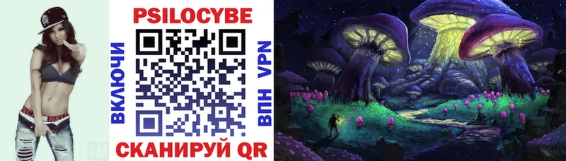 Галлюциногенные грибы Cubensis  Купить закладки  Полысаево 